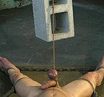 Captive Male
