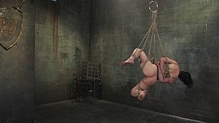 WiredPussy