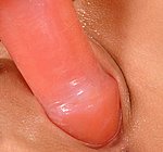 1 by-day.com