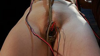 ElectroSluts